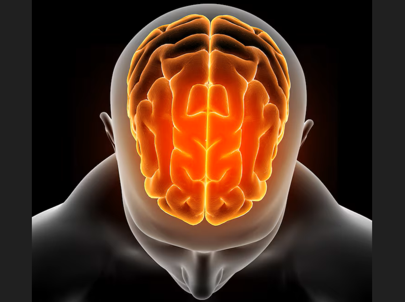 Rejuvenate Your Brain: Unlock Peak Performance and Mental Recovery in Canada