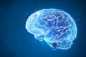 Rejuven8U Brain Rejuvenation Therapy: Optimize Your Mind, Reclaim Your Focus