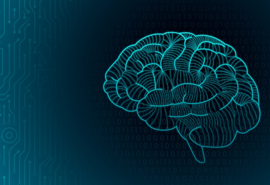 Are Neurofeedback Training Programs Safe and Effective for All Ages?