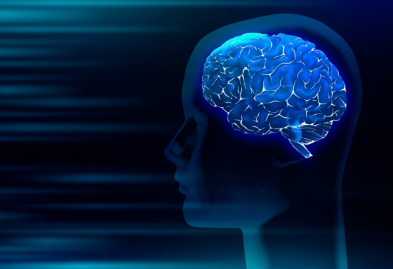 The Rise of Cutting-Edge Brain Wellness Science: What You Need to Know